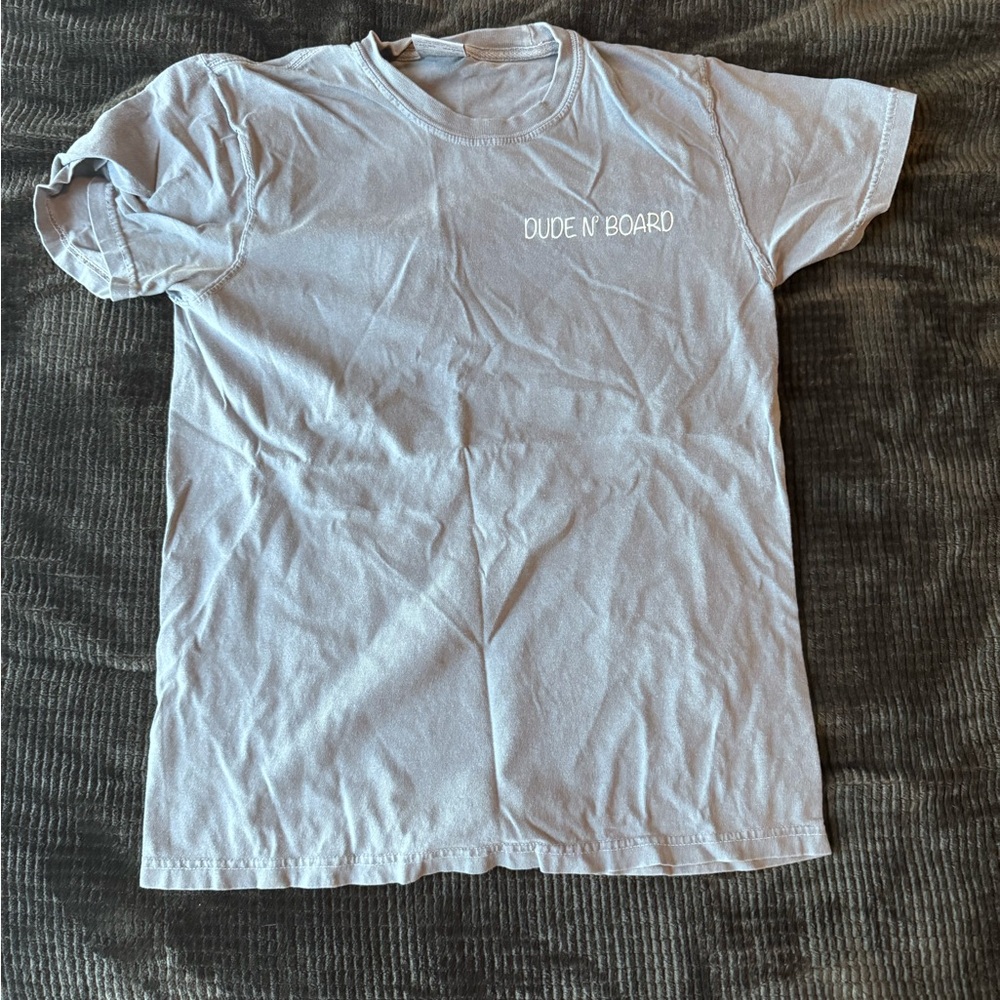 Gray DE State Parks T-Shirt for Men